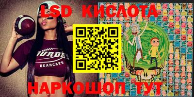 ГАЛЛЮЦИНОГЕННЫЕ ГРИБЫ Кулебаки